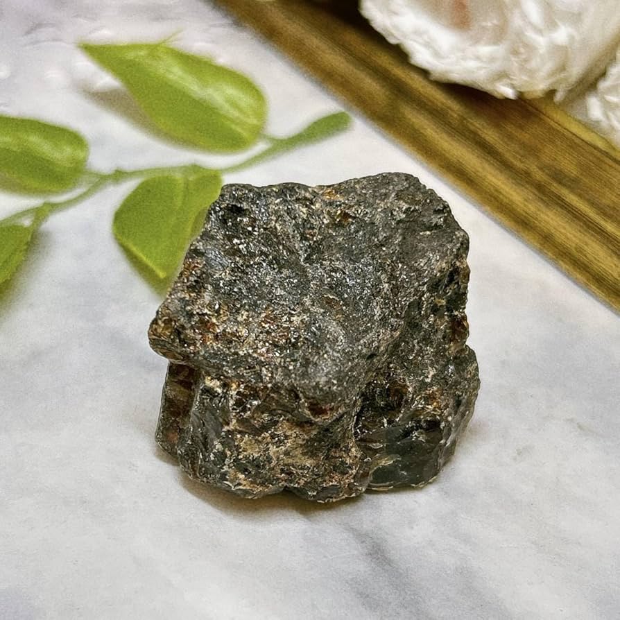 樹脂の化石【超激レア】 樹脂の化石【超激レア】|mercariメルカリ官方指定廠商|Bibian